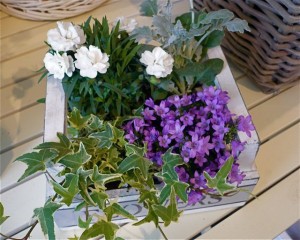 Frühling 3